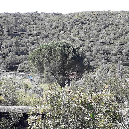 Vale dos OvosQuinta Da Silva别墅 外观 照片